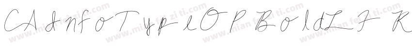 CA InfoTypeOP BoldLF Regular字体转换